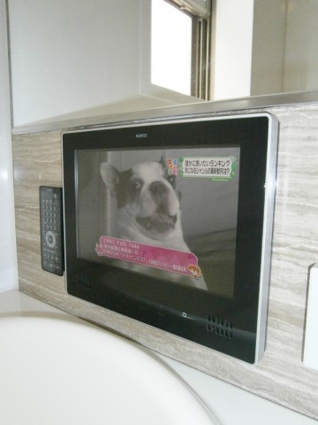 ノーリツ 12V型浴室テレビ YTVD-1202W-RC