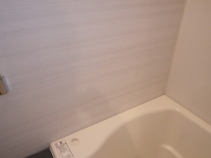名古屋市中区 浴室テレビ新規取付工事 施工前